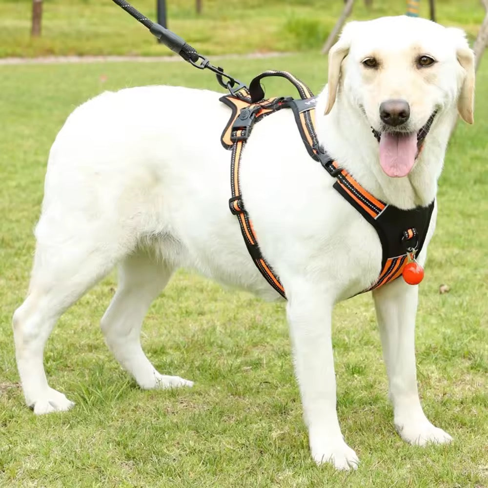 Hundesele med refleks og håndtak – justerbar sele til tur
