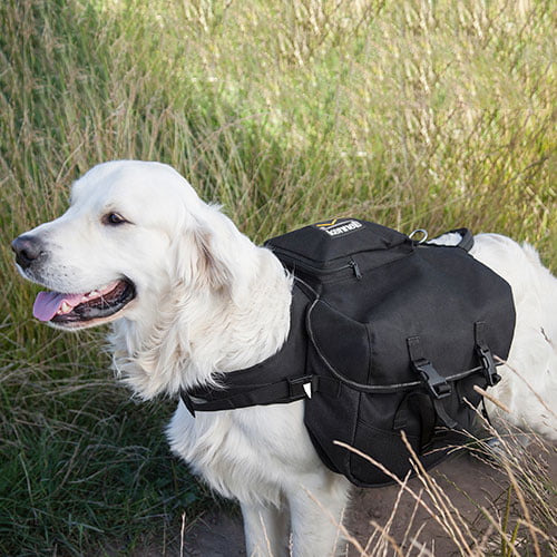 Kløv Cordura Kevlar - Kennel Equip