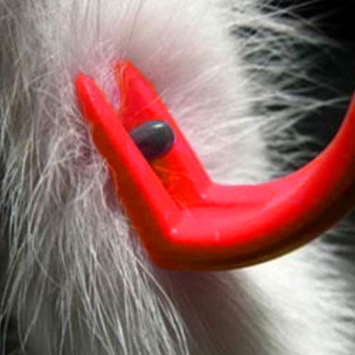 Buster Flåttfjerner