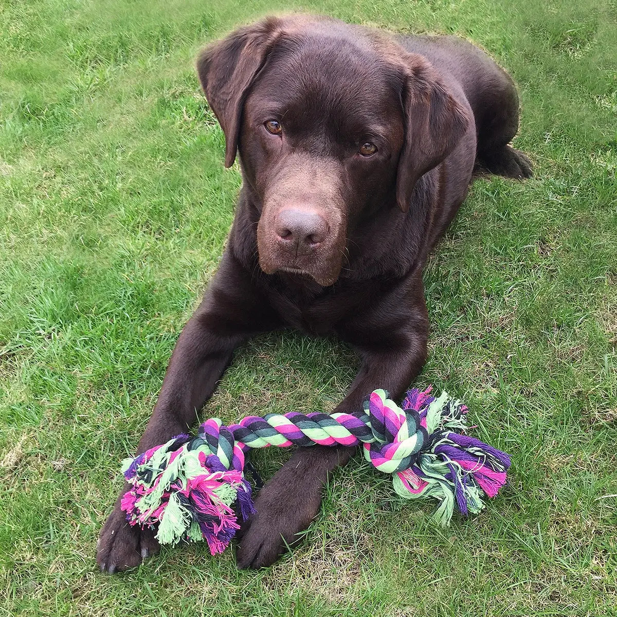 Brun, stor hund ligger på grønn plen. Mellom potene ligger Hundeleke – tyggetau / tauknute fra Dogman.