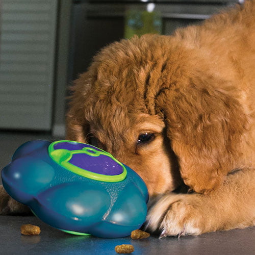 Aktiviseringsleke godbitdispenser – KONG Flipz