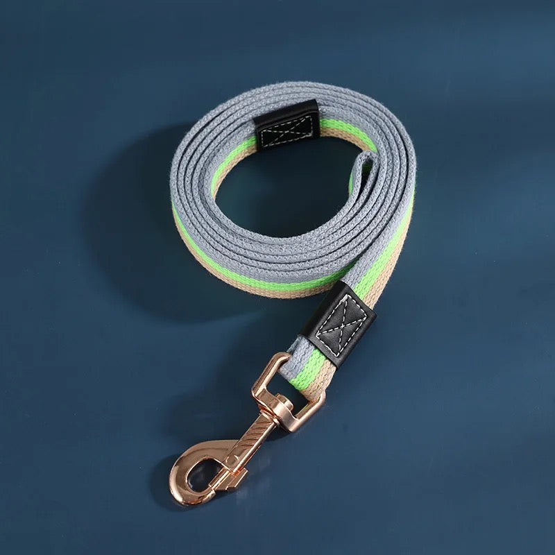 Hundebånd i nylon – 2 meter flerfarget kobbel