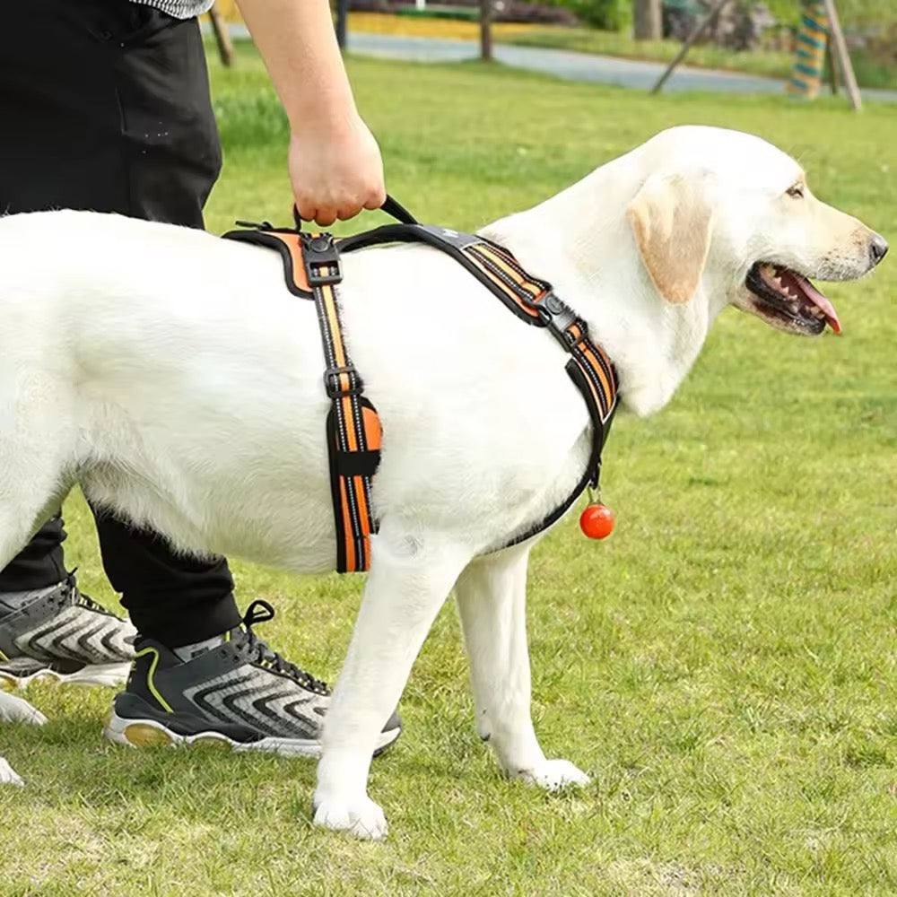 Hundesele med refleks og håndtak – justerbar sele til tur