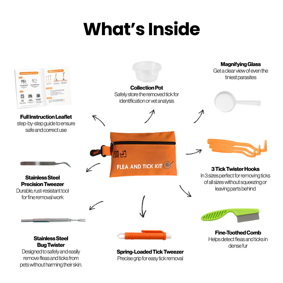 Flått- og loppefjerning til hund – Komplett sett med verktøy og oppbevaringsboks | Our Dogs Life