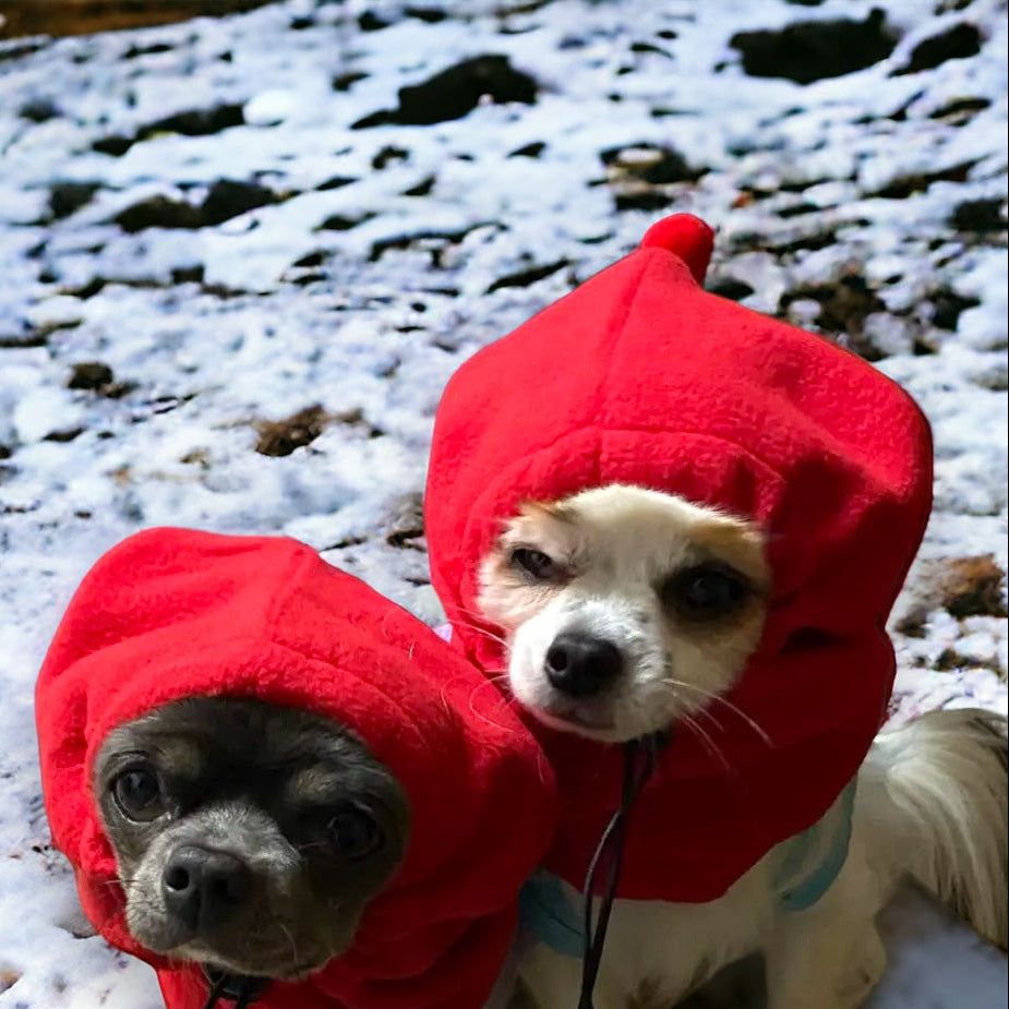 Hundelue i fleece