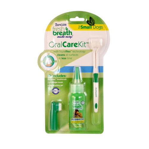 Oral care kit