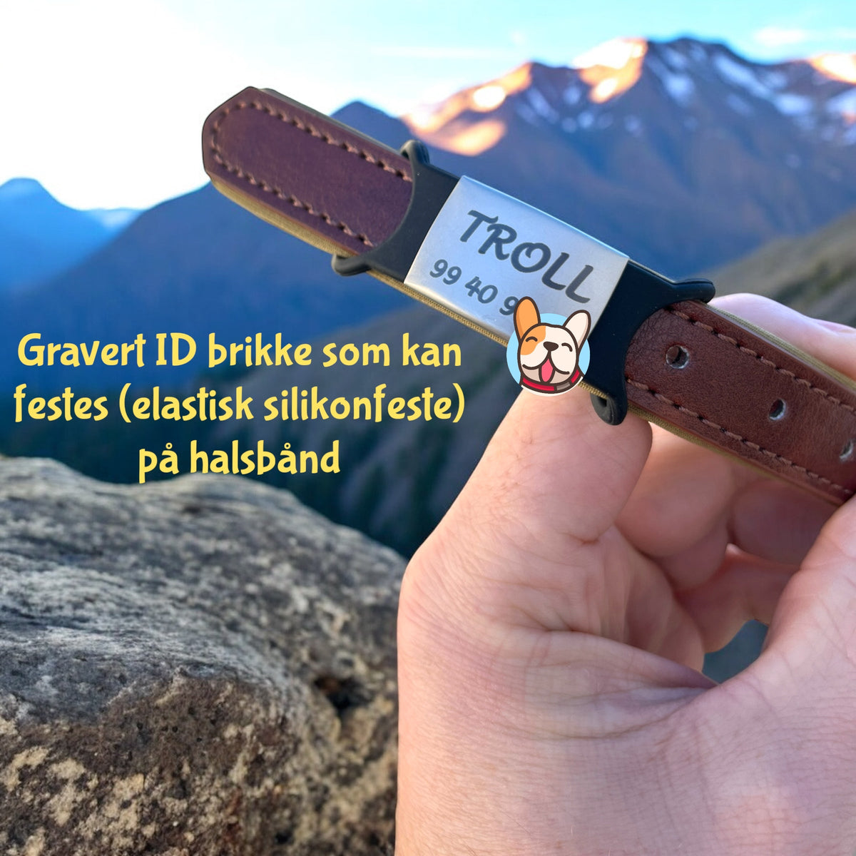 Navnebrikke i silikon med gravering