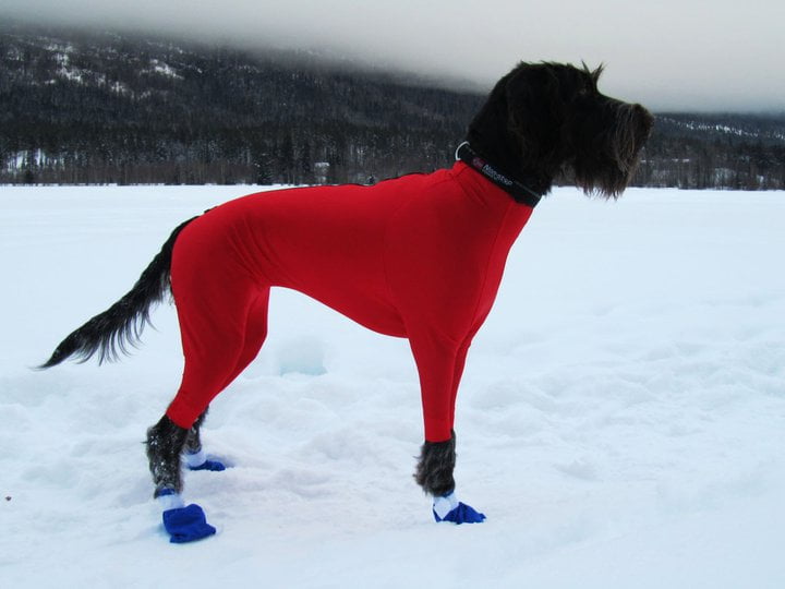 Jægerens superdekken