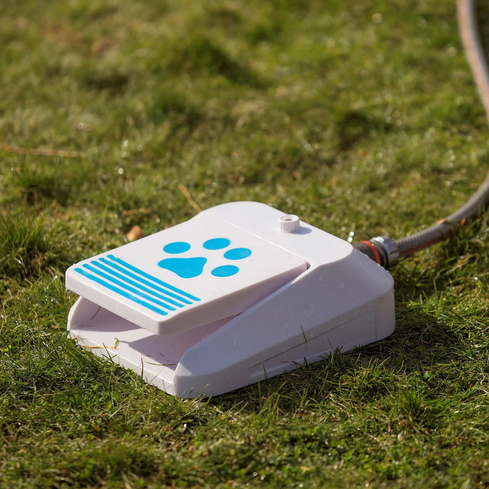 Vannfontene til hund fra dogman montert til hageslange på gresset.