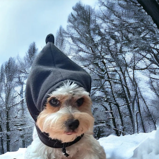 Hundelue i fleece