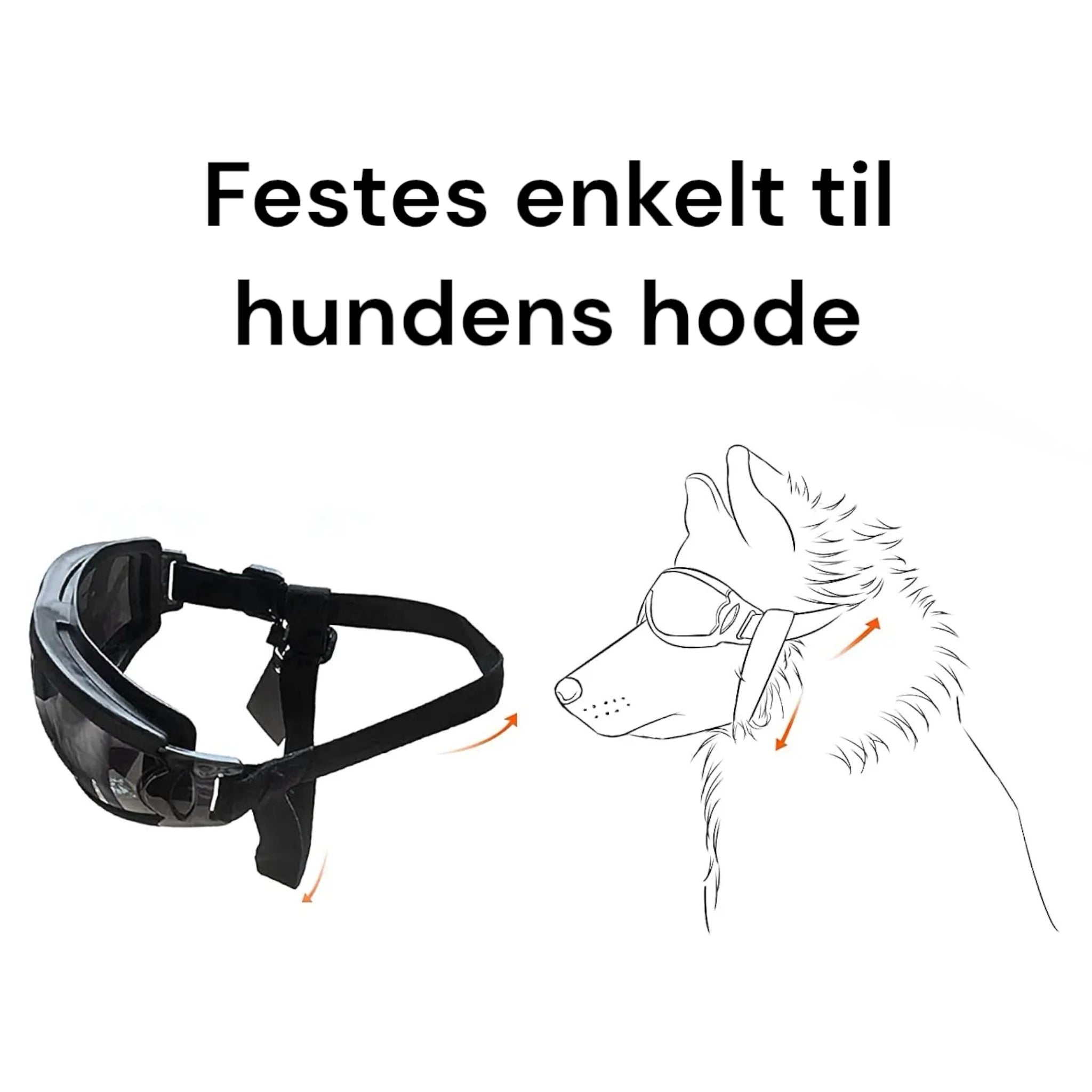 Hundebriller med UV-beskyttelse – klare eller mørke glass