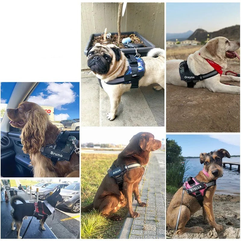 Buddy hundesele med refleks – justerbar sele med håndtak