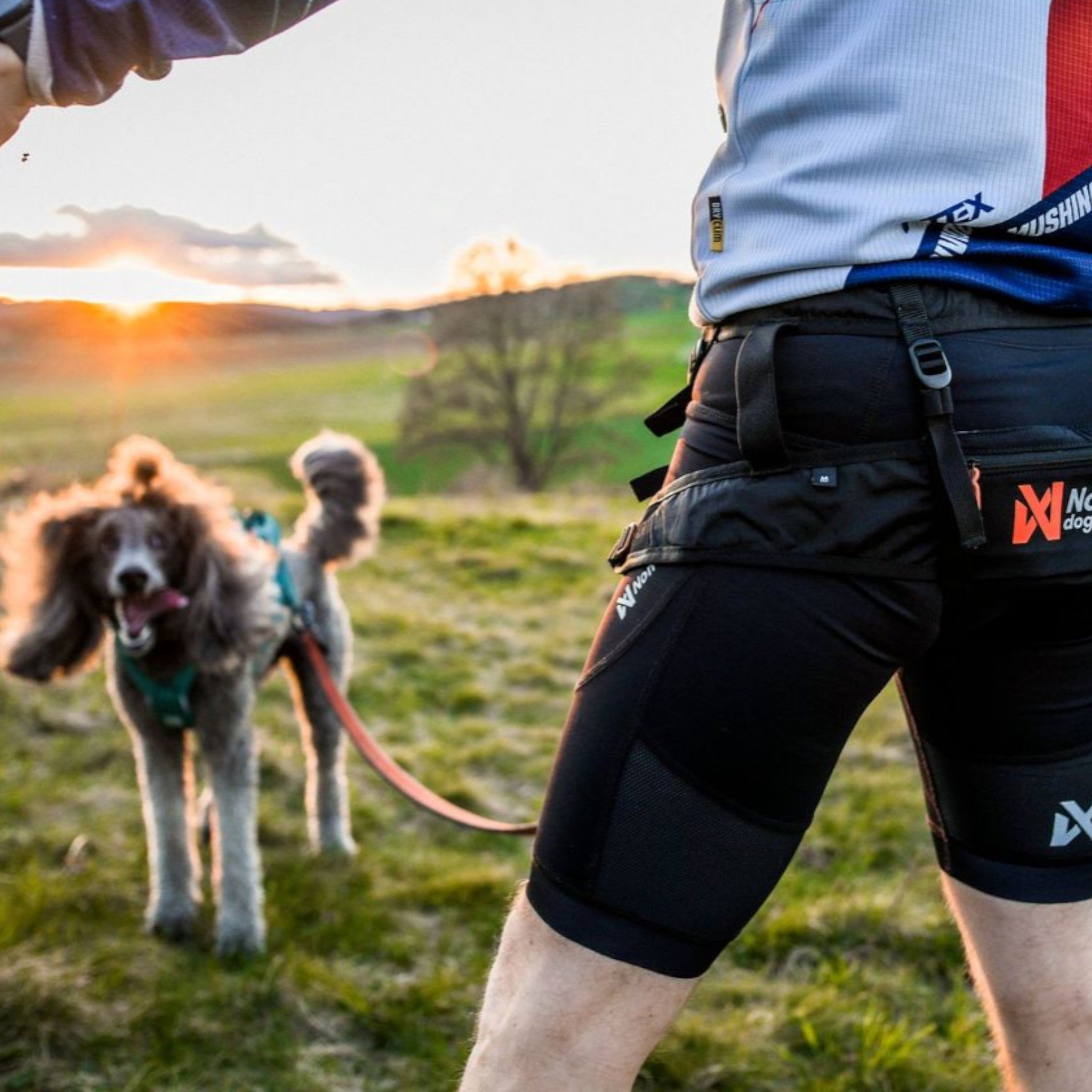 Non-stop CaniX Belt 2.0 – løpebelte til canicross
