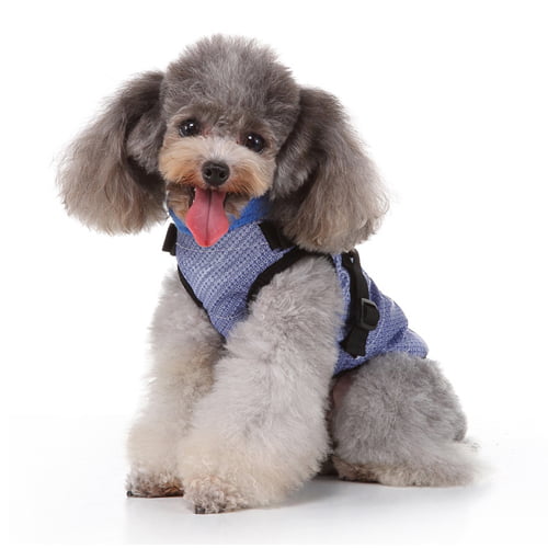 Dash vest med sele til hund - blå