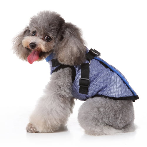 Dash vest med sele til hund - blå