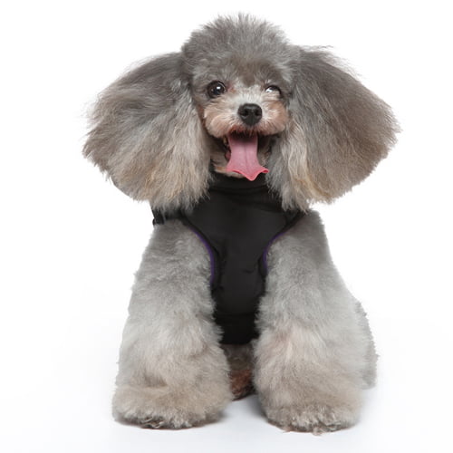 Fashion vest med sele til hund - Sort