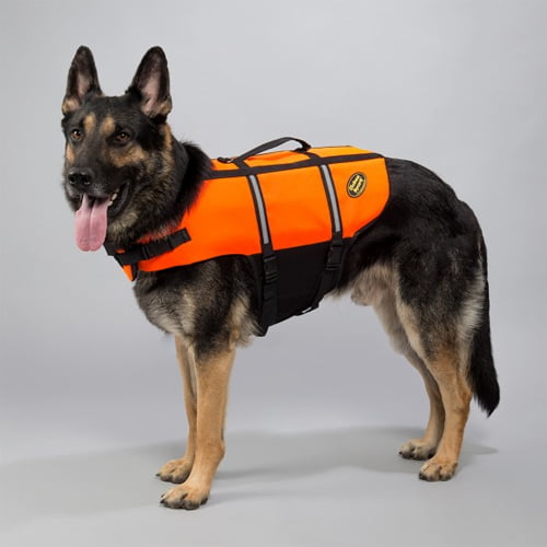 Flytevest for hund - Globus