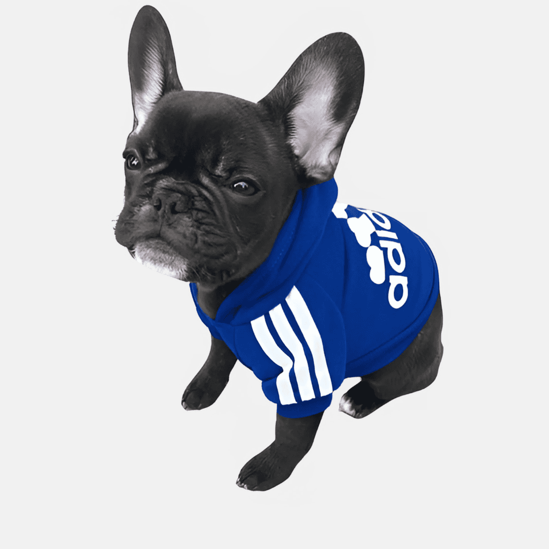 Adidog Hettegenser til hund - stort utvalg farger og størrelser