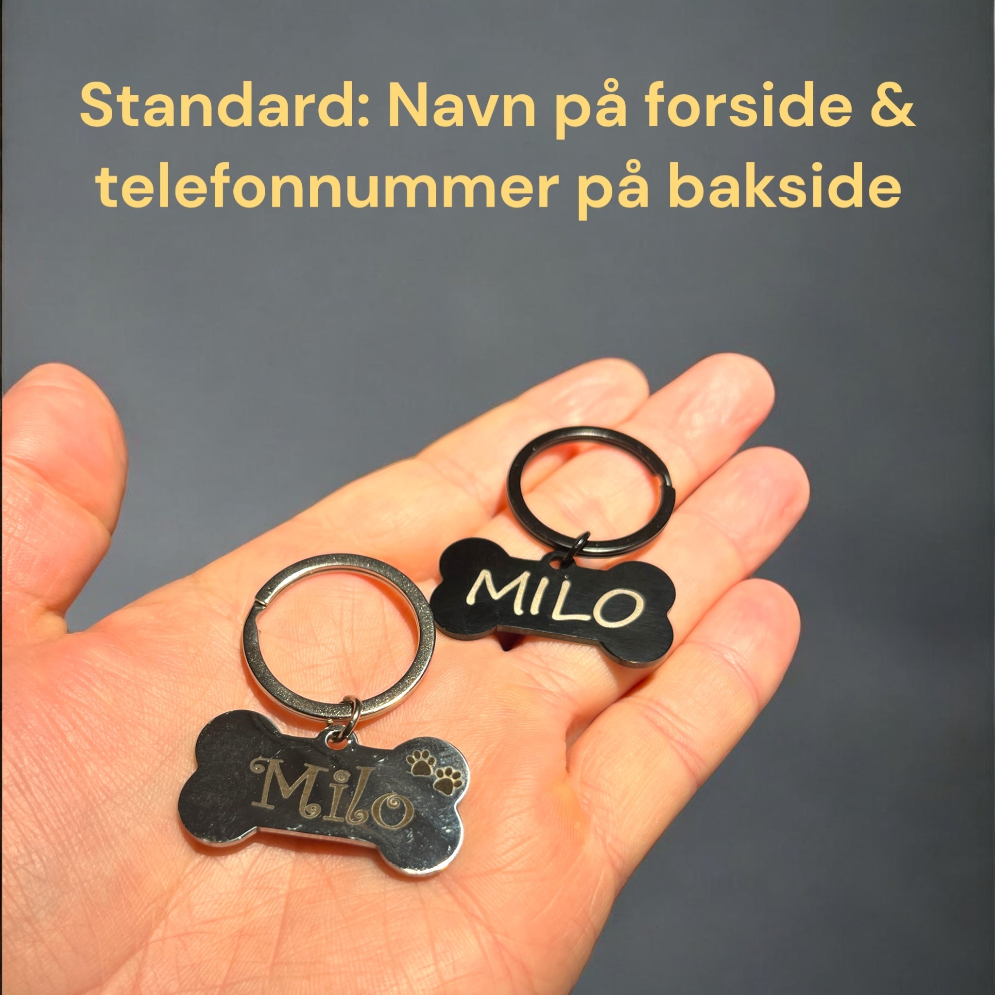 Gravert ID-brikke bein – navnebrikke til hund og katt