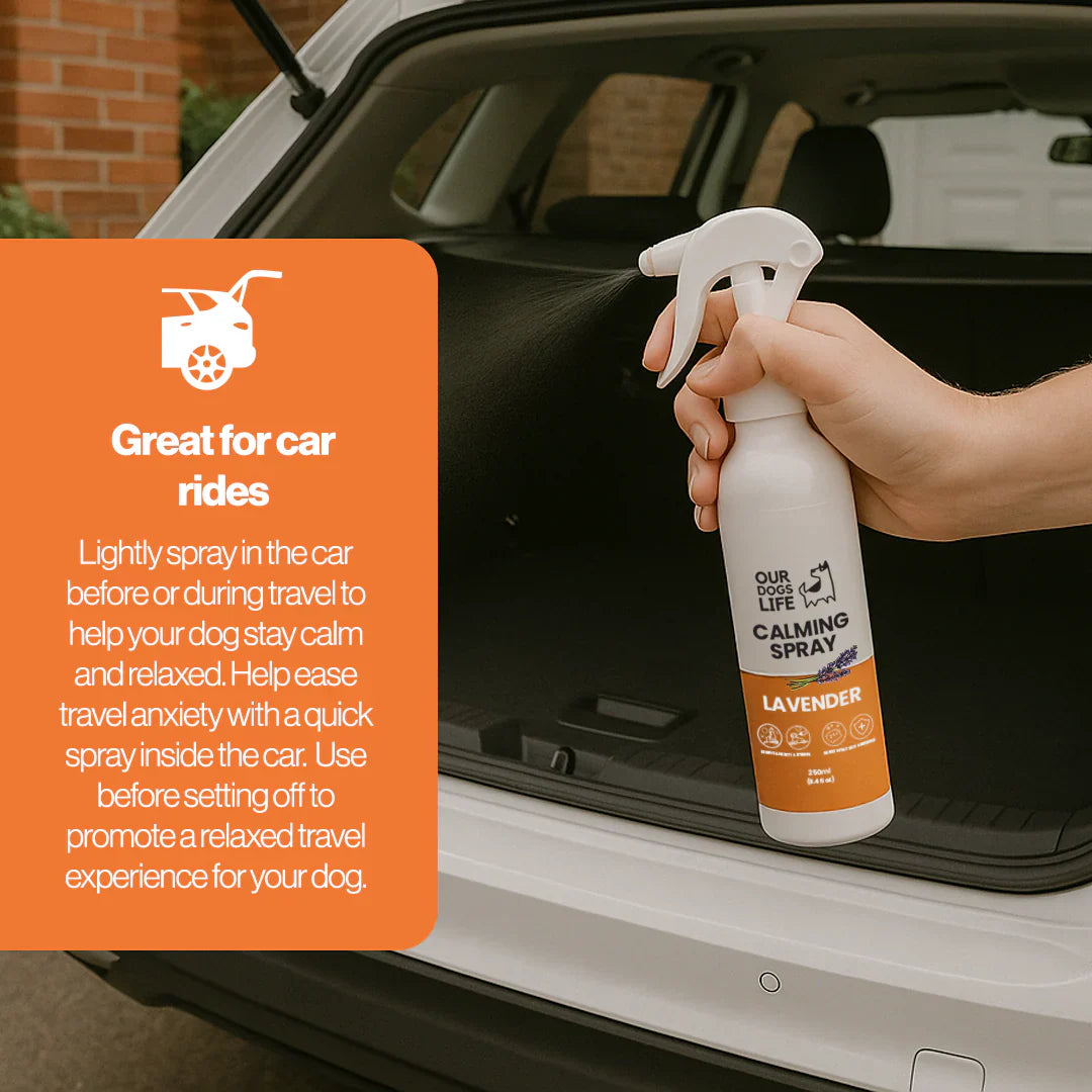 Beroligende spray til hund – OurPetsLife 250 ml