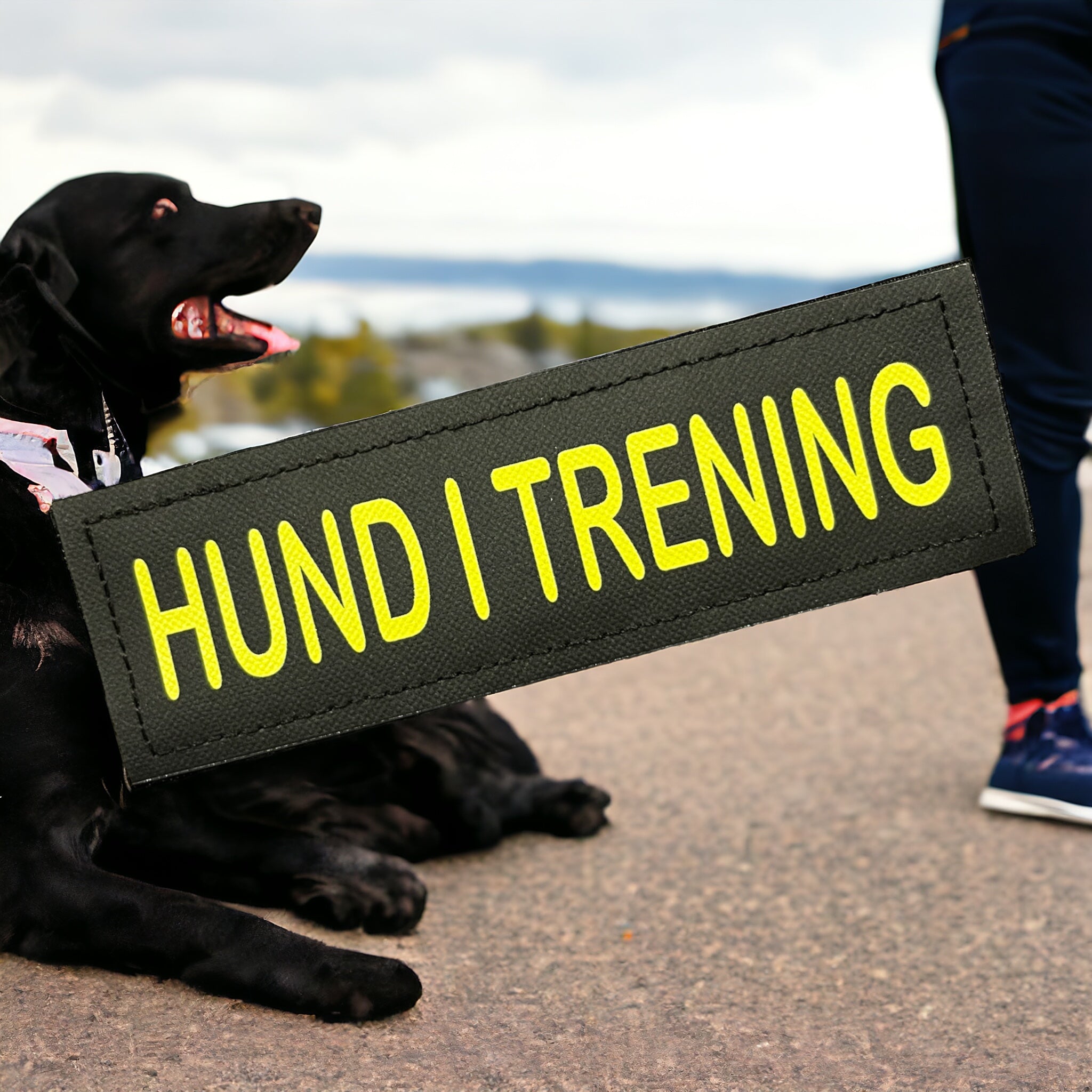 Borrelåsmerke Hund i trening – merke til hundesele