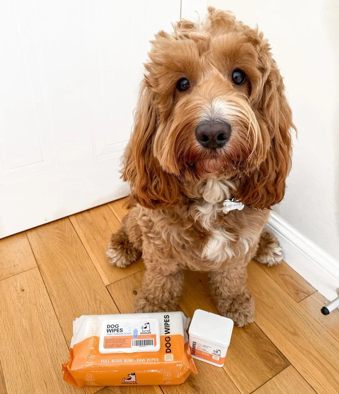 OurPetsLife våtservietter til hund 100 stk – med aloe vera