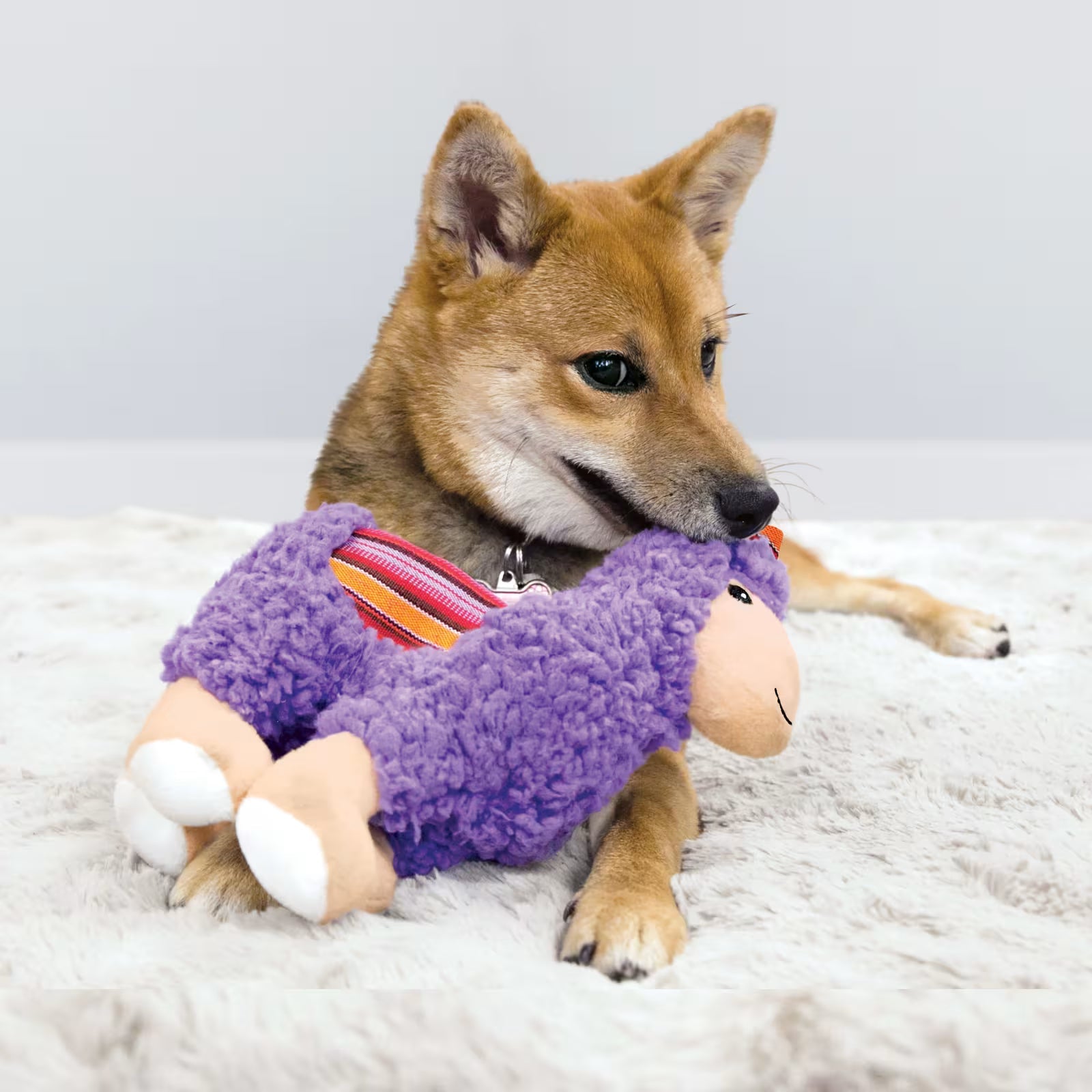 KONG Sherps Lama M hundeleke med knitrelyd og squeaker