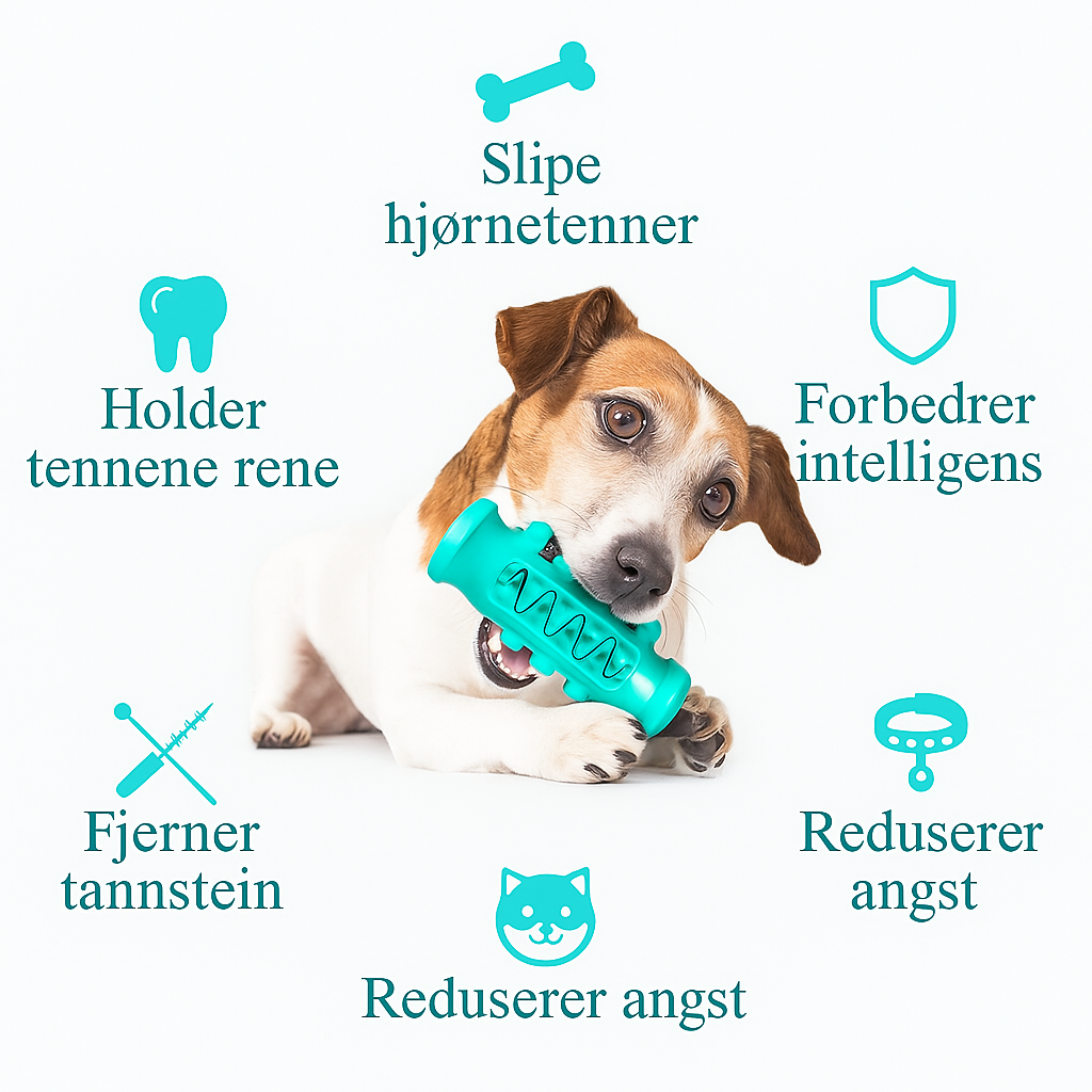 Tyggeleke til hund for tannpleie