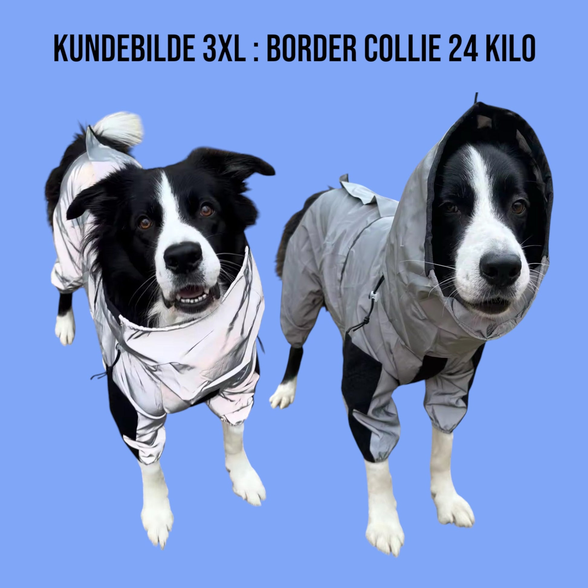 Regndress til hund med god passform og justerbare stropper