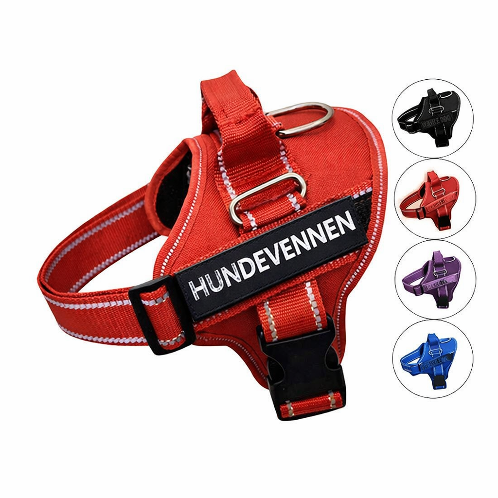Hundesele med navn i flere farger