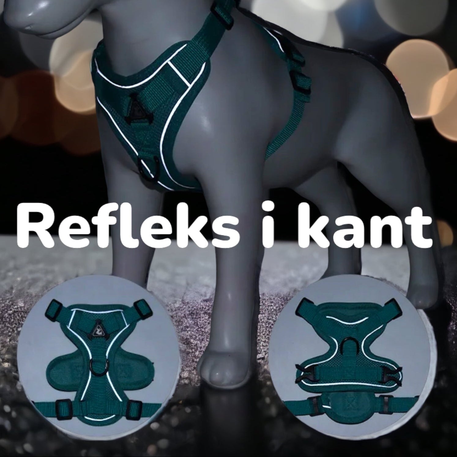 Sele til små hunder og katter – med kobbel og refleks