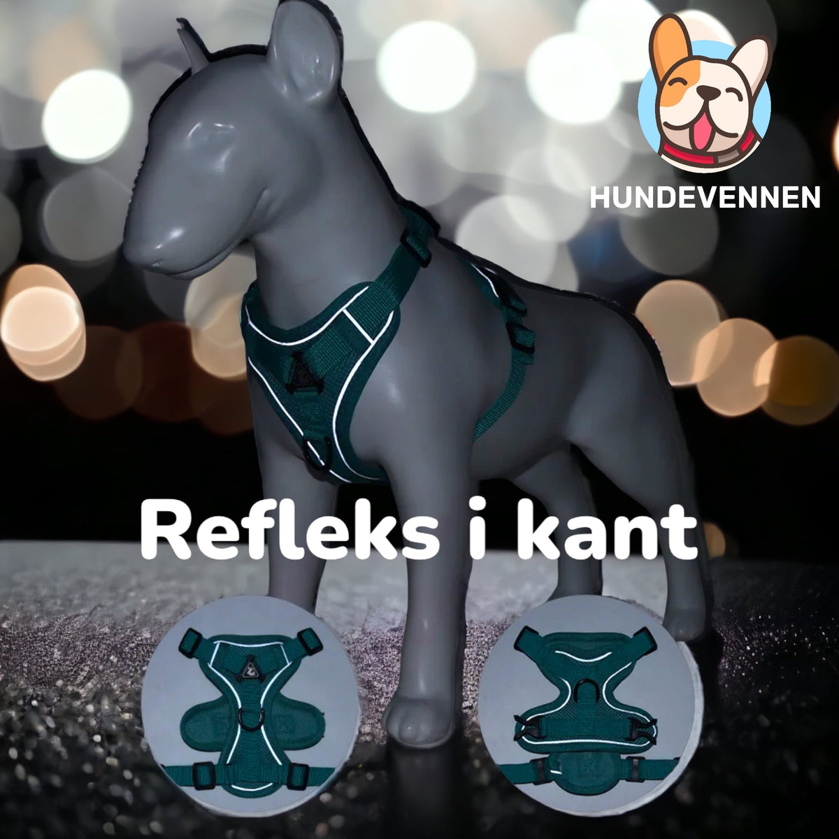 Refleks på hundeselen til små hunder