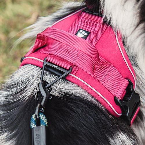 Hurtta sele Active - sand