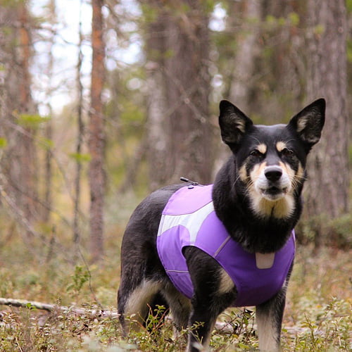 Hurtta Polarvest Lilla