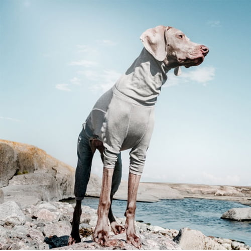 Hurtta Body Warmer - varmedress til hund