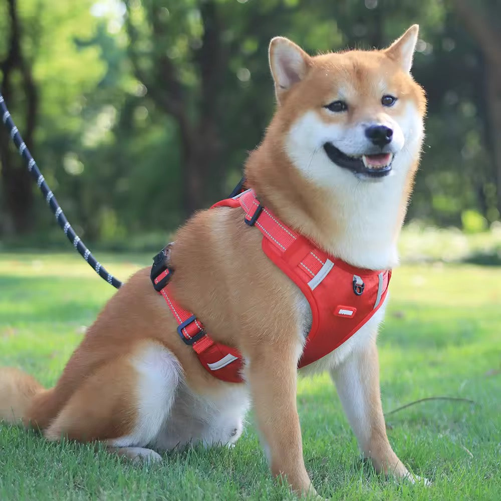 Hundesele med refleks og håndtak