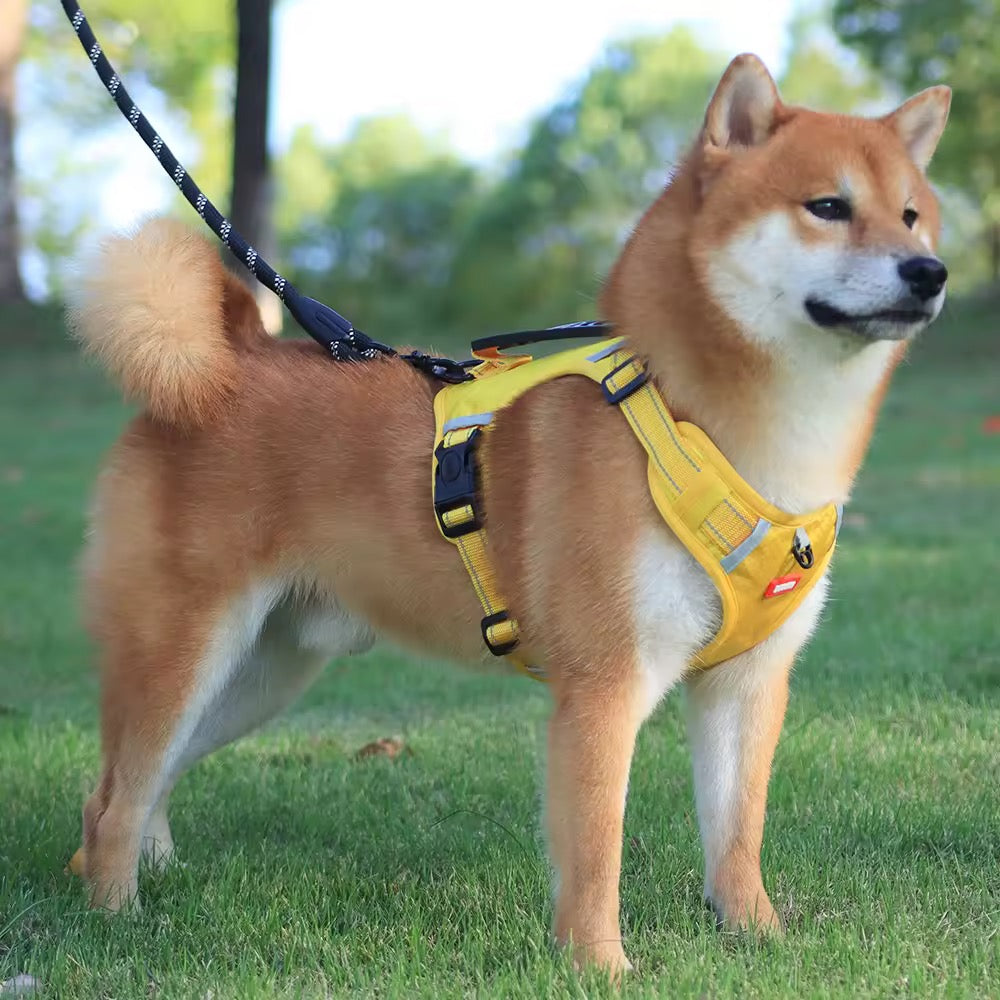 Hundesele med refleks og håndtak