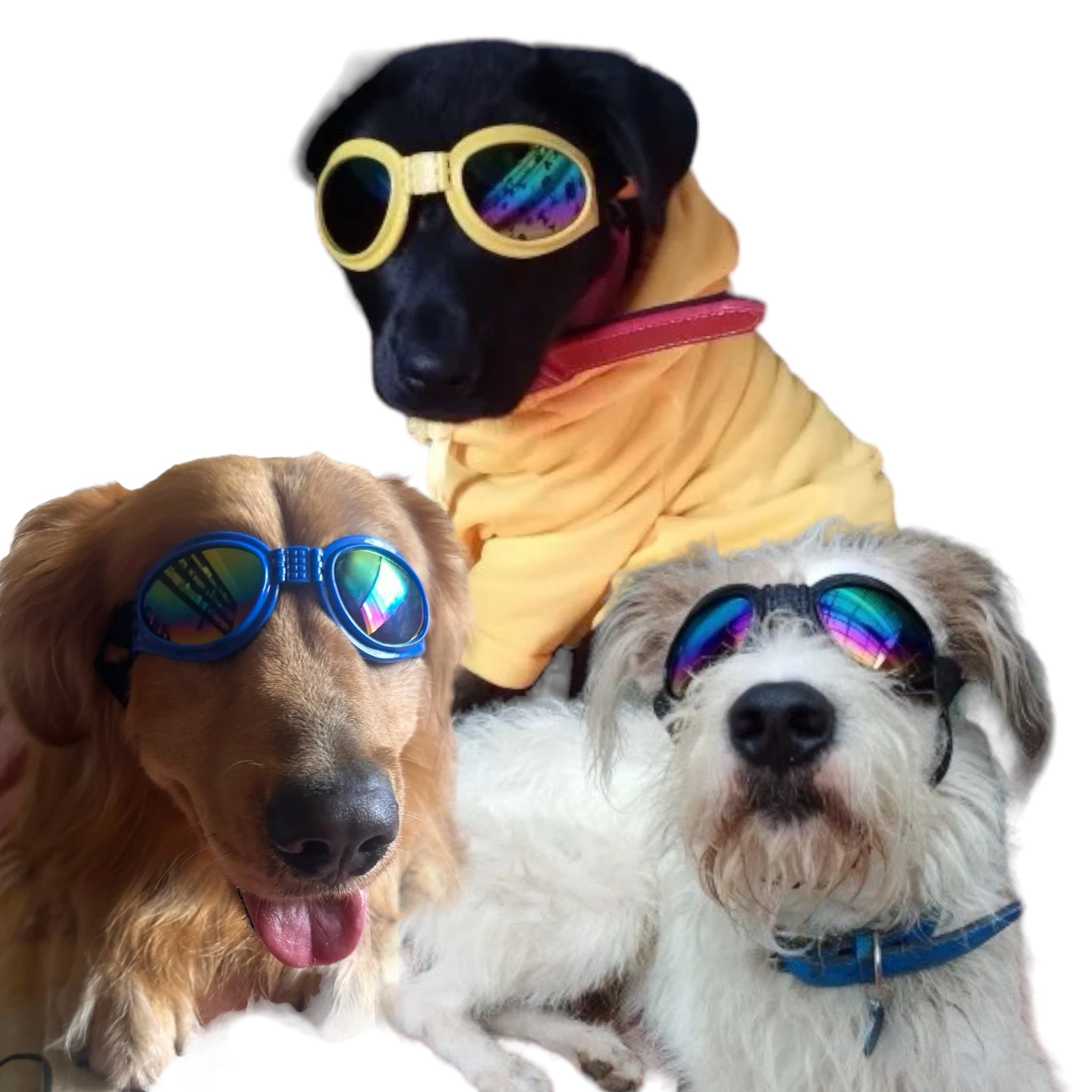 DOGSHADEZ solbriller til hund – UV-beskyttelse og justerbar passform