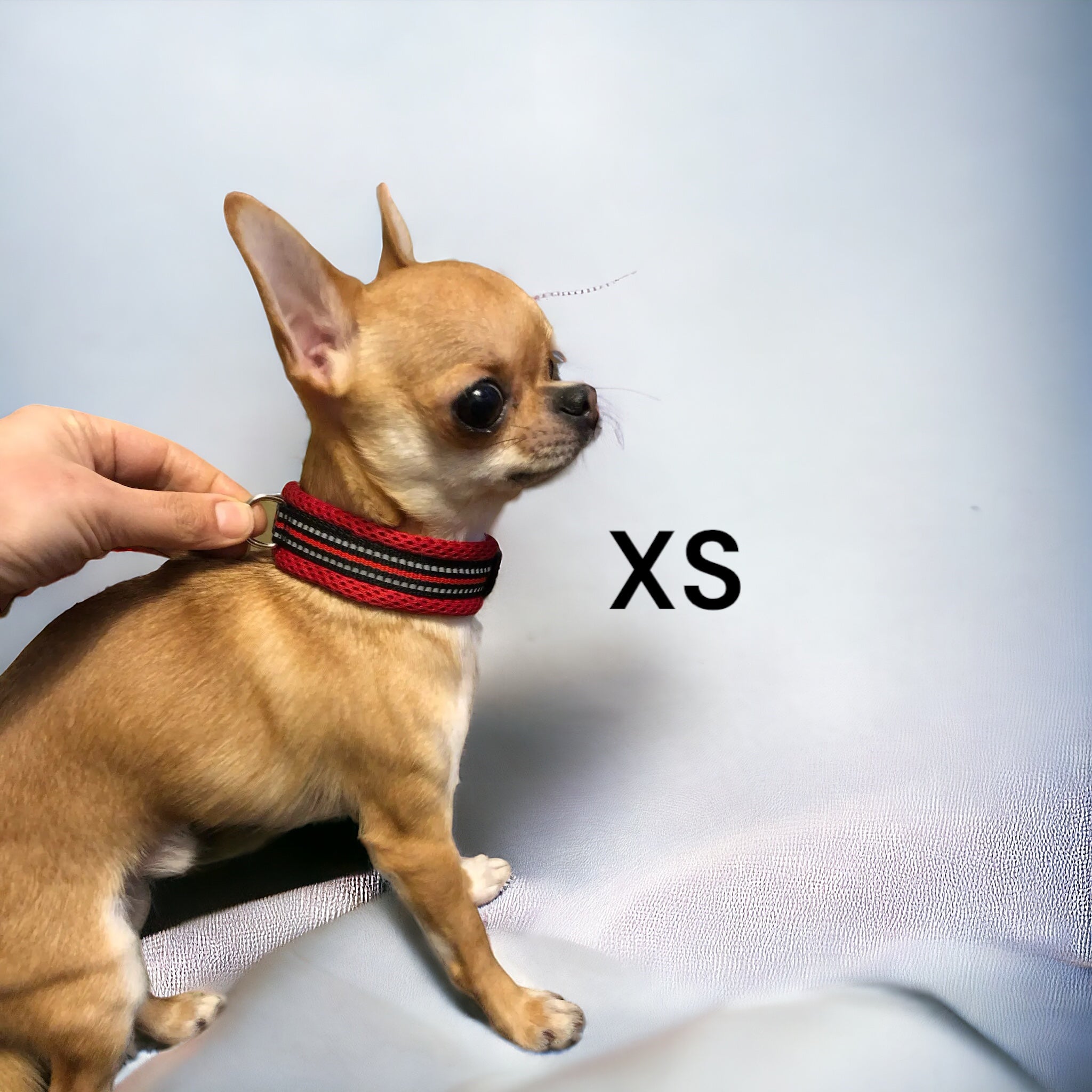 Mesh hundehalsbånd med refleks og hurtigklips