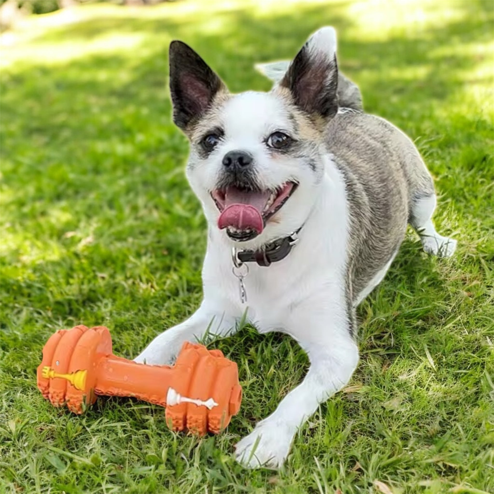 Tyggeleke til hund i naturgummi – fylles med godbiter