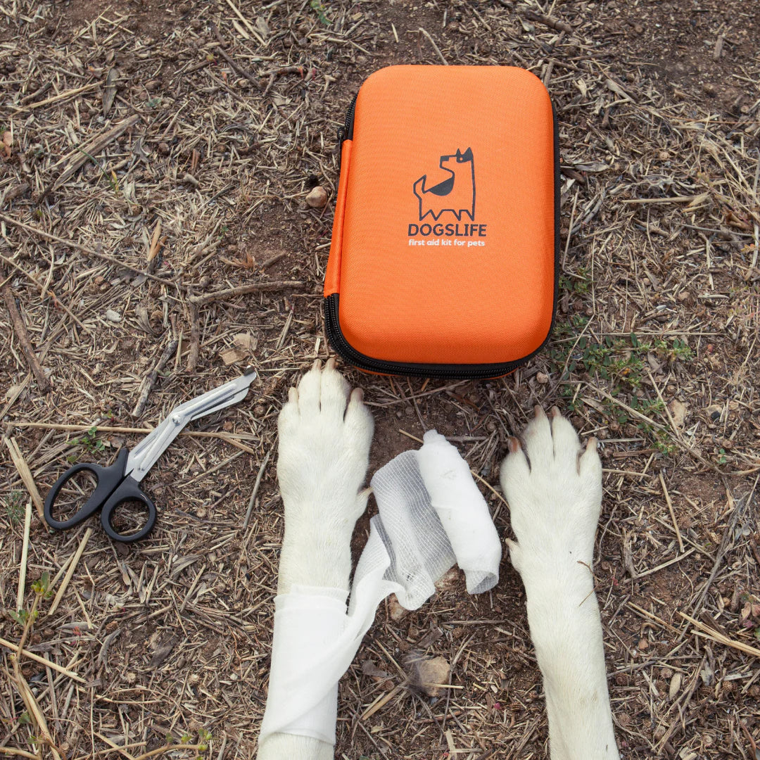 Førstehjelpsutstyr for hund og katt – Komplett førstehjelpsskrin med 30+ deler