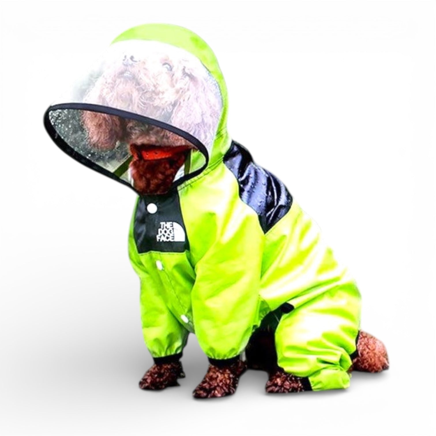 Regndress til hund – vanntett dress med hette og justerbar passform