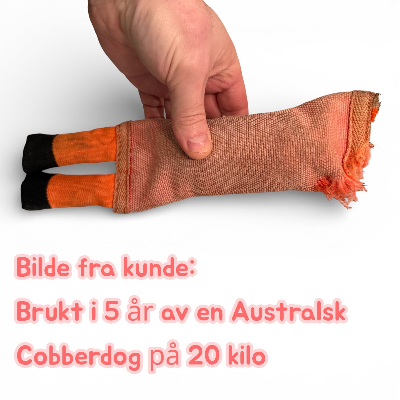 Hozies hundeleke i brannslange – Billy Bengal S