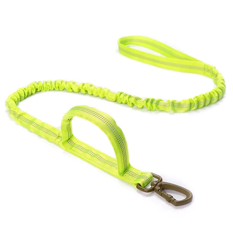 Elastisk hundebånd