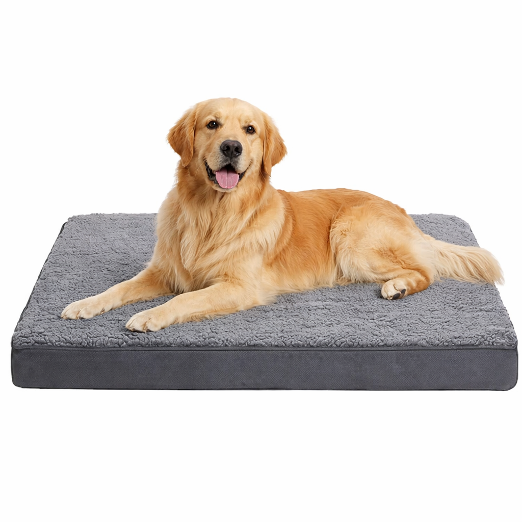Hundeseng i memory foam med vaskbart trekk og sklisikker bunn