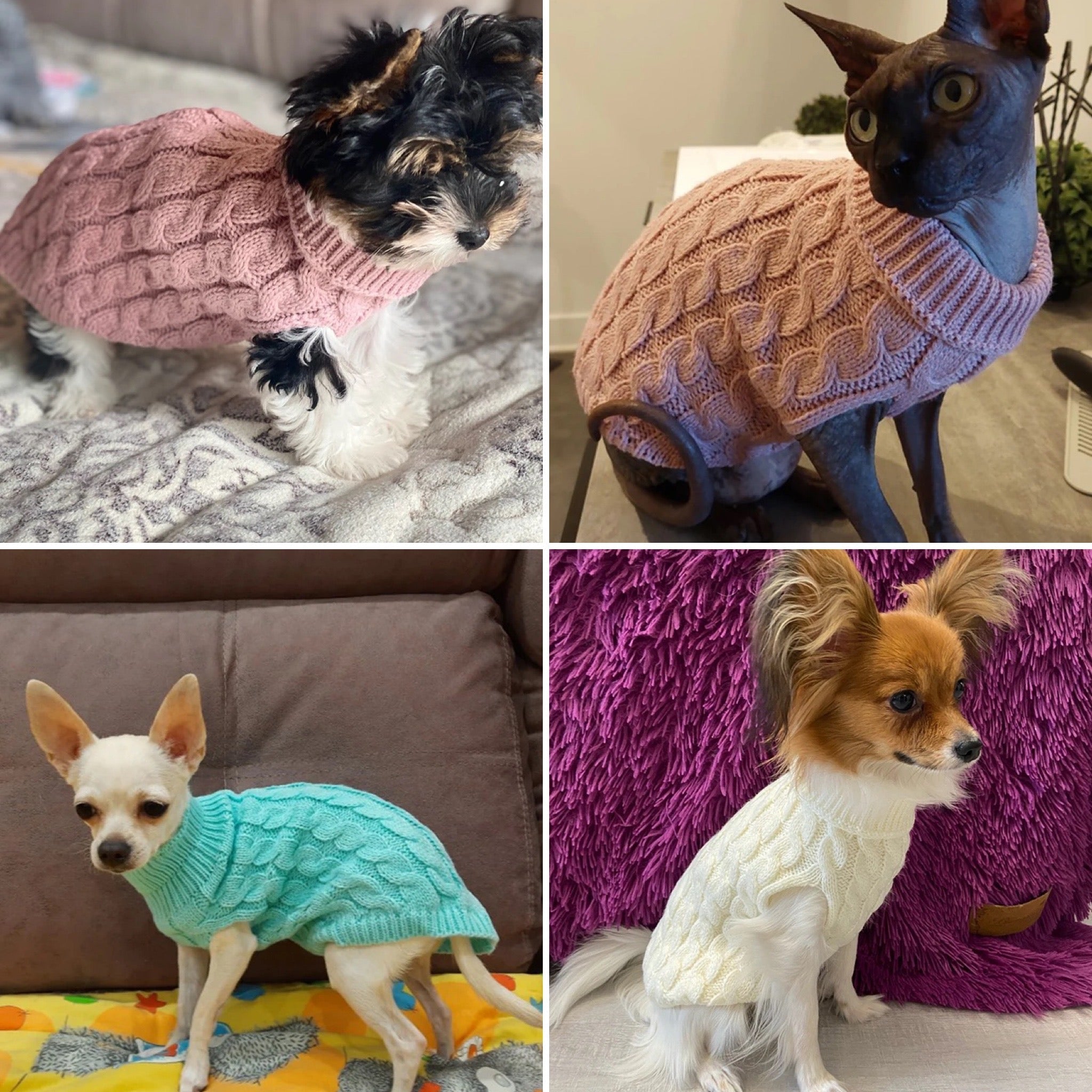 Strikket hundegenser