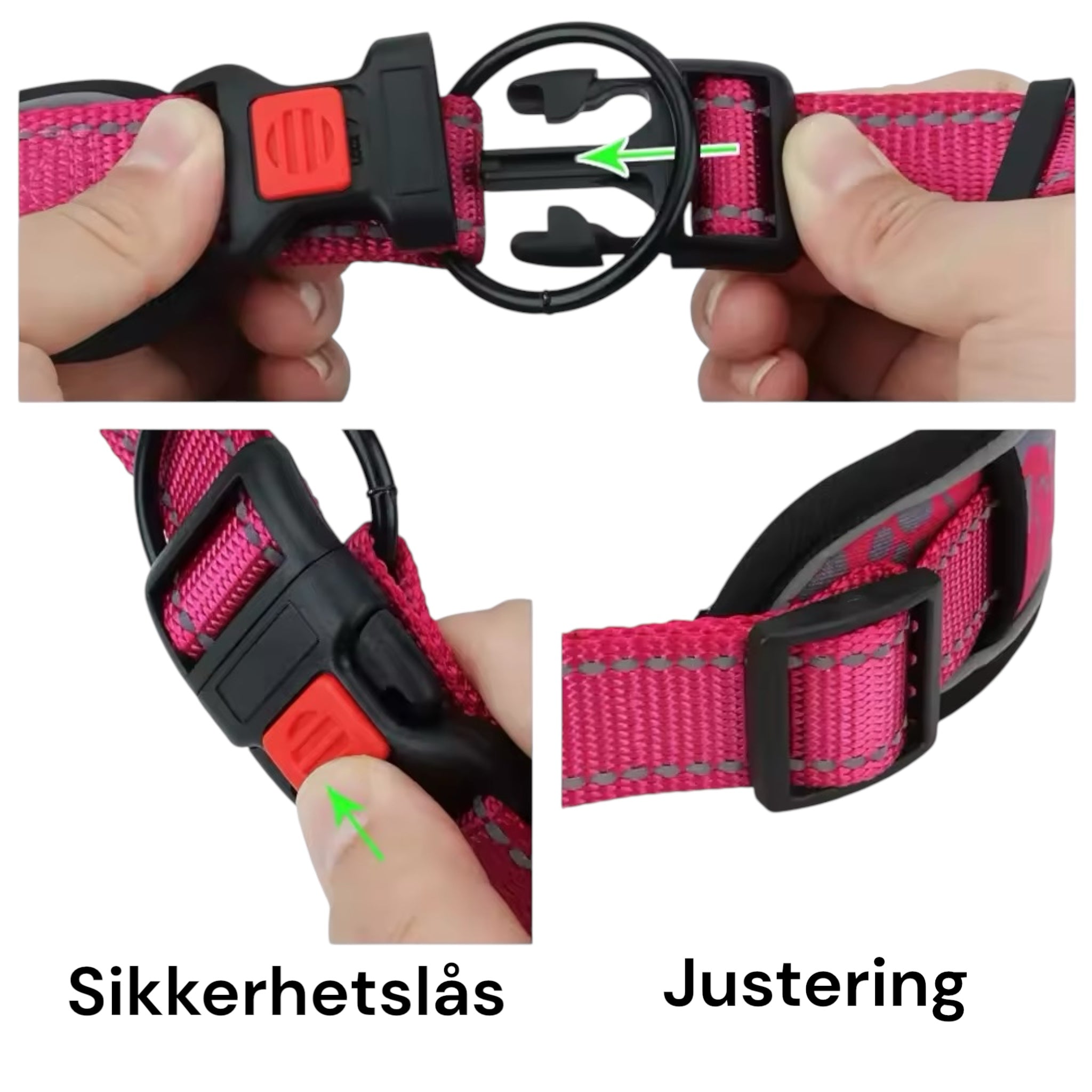 Reflekshalsbånd til hund