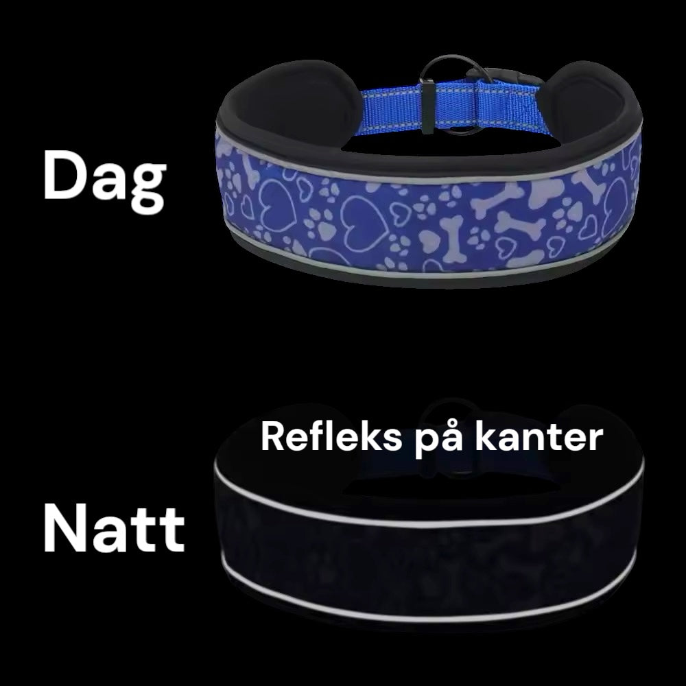 Reflekshalsbånd til hund