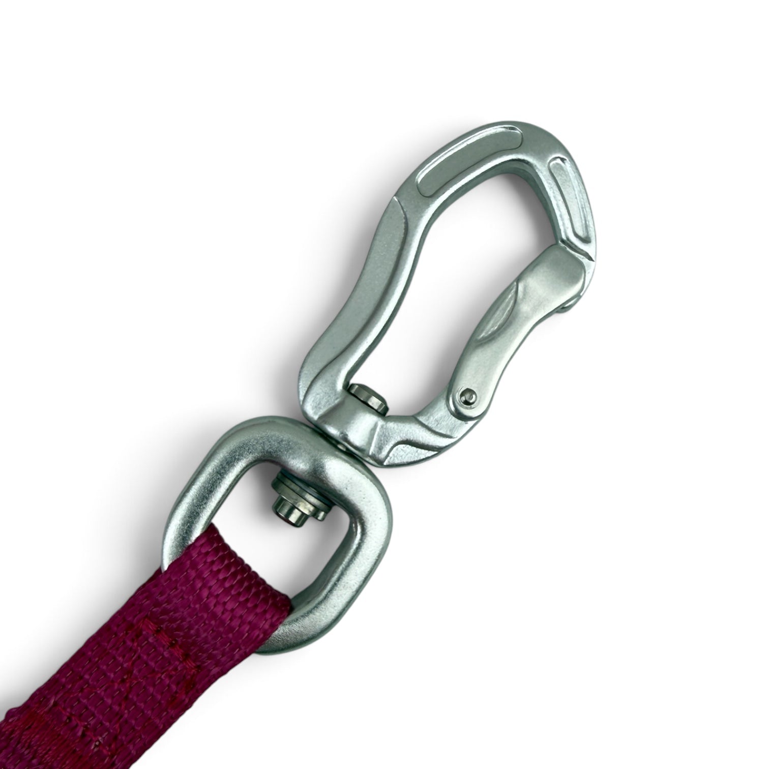 Kyflie Momentum kobbel