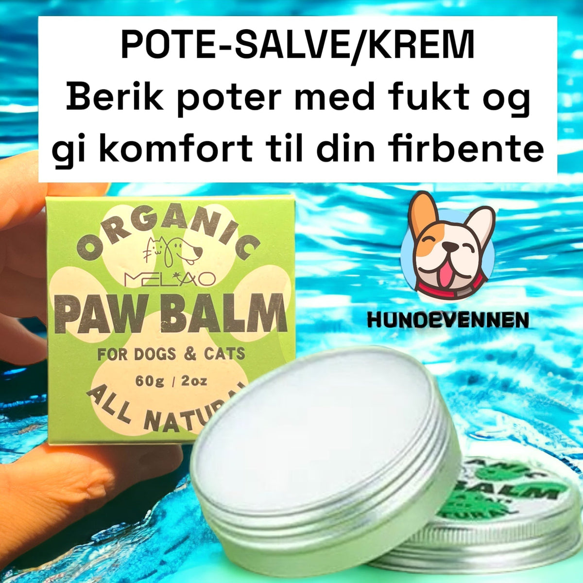 Potesalve til hund og katt – pleie for tørre poter
